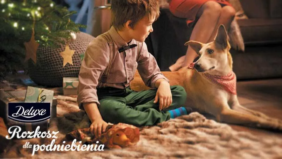 Luksus w zasięgu ręki